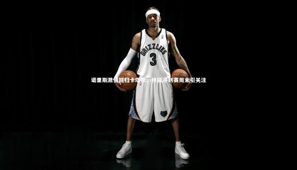 ng体育平台：诺里斯激情回归卡塔尔，终极冲刺赛周末引关注